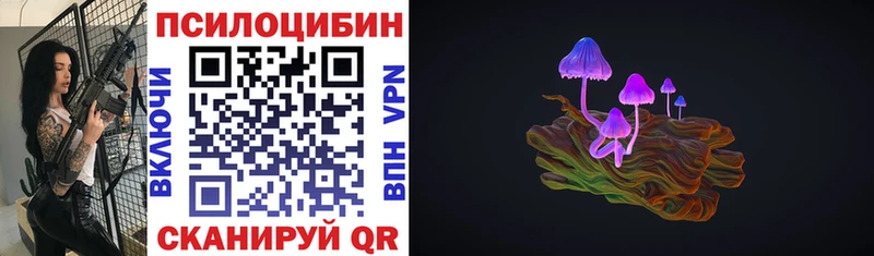Галлюциногенные грибы Cubensis цены Гаврилов Посад