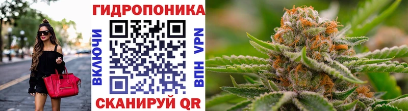 Бошки Шишки марихуана  маркетплейс как зайти  Гаврилов Посад 